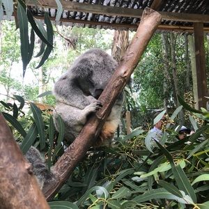 Meet your Posher, Brea